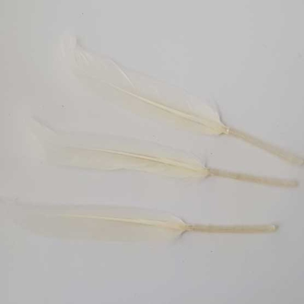 3 Plumes 15 cm N°01 Blanc