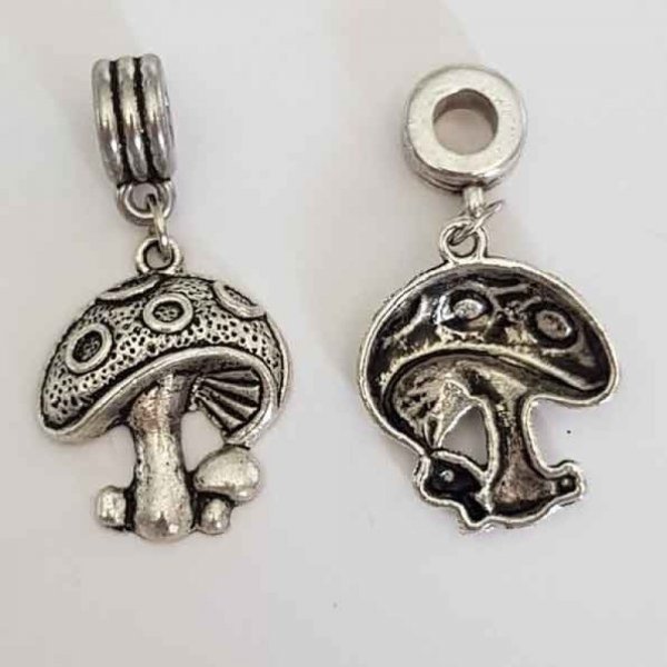 Champignon charme N&deg;01