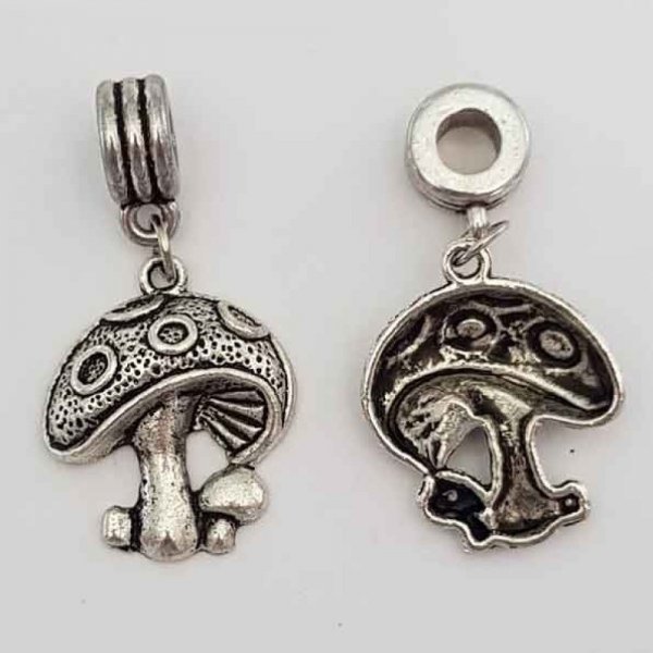 Champignon charme N&deg;01