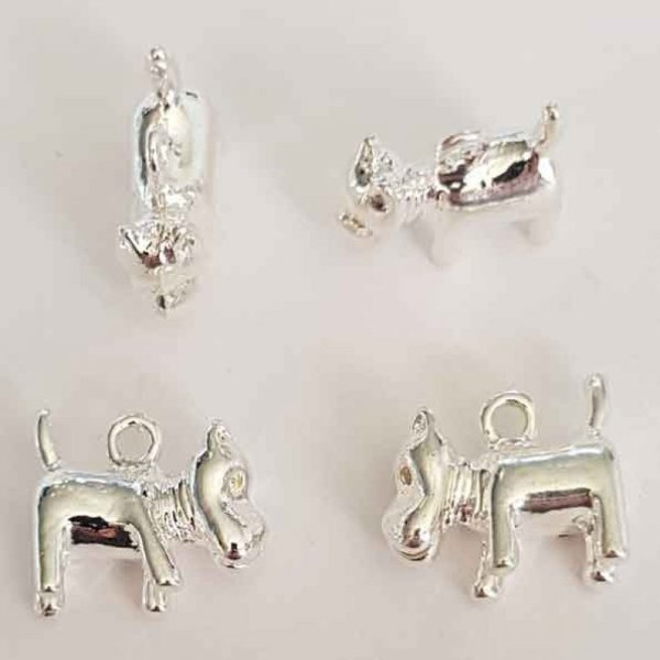 Hund charme N&deg;01