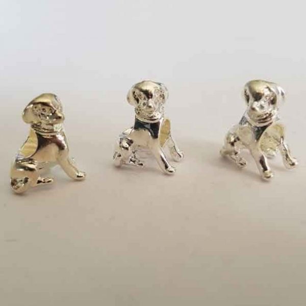 Hund charme N&deg;03