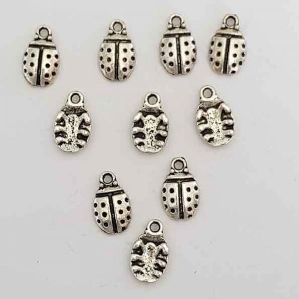 Beetle charme N&deg;01