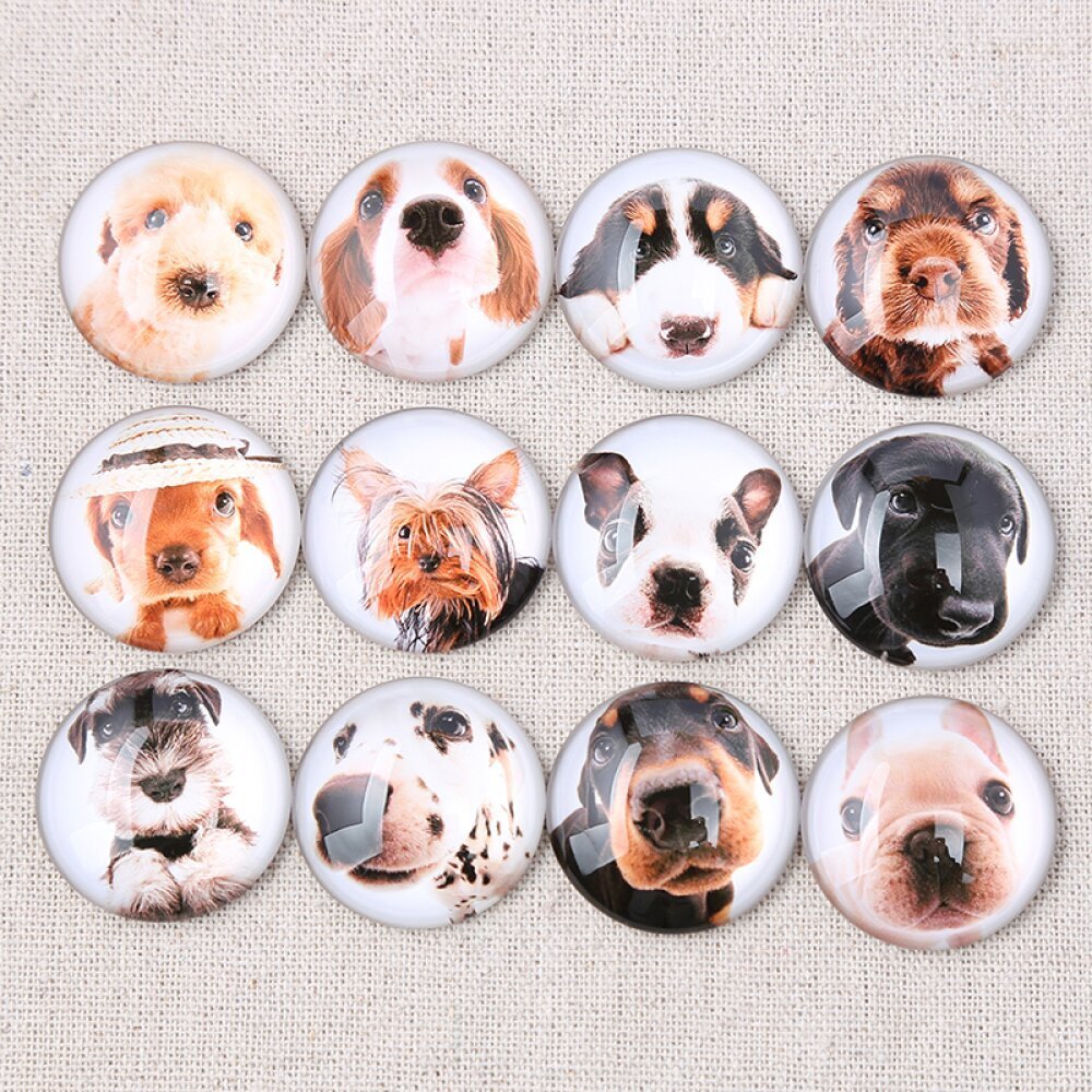 Lot 24 runde glas cabochons 25mm Blandet hund glas cabochon 