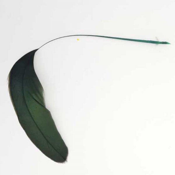 Plume 16 cm N&deg;03 Vert