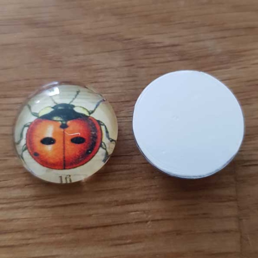 cabochon rond en verre 18mm divers 003