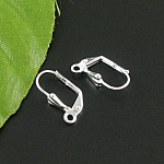 Sleeper øreringeholder N°20 x 25 par