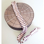 Dekorationsbånd N°059 pr. meter