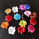 15 assorterede orkidéblomster