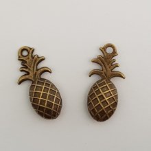 Ananas charme N°01