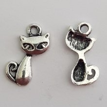 Cat Charm N°16