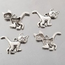 Cat Charm N°21 x 4 stk.