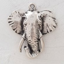 Elefant charme N°08