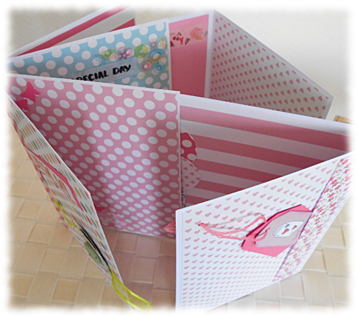 Journal intime ou Calepin album ou carnet papiers assortis "Special Day" rose vert multicolore