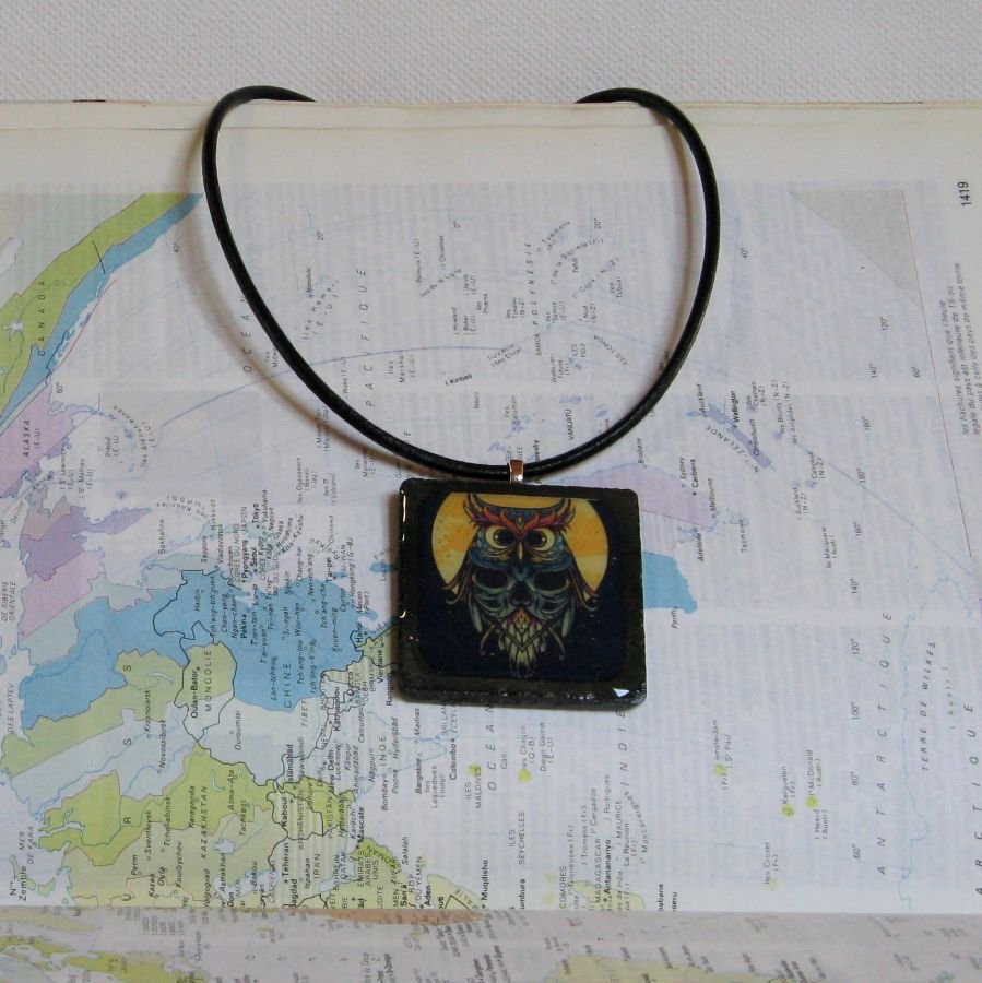 Gros Pendentif  Chouette Sur Ardoise et Résine, Cordon Cuir Noir, Création Unique