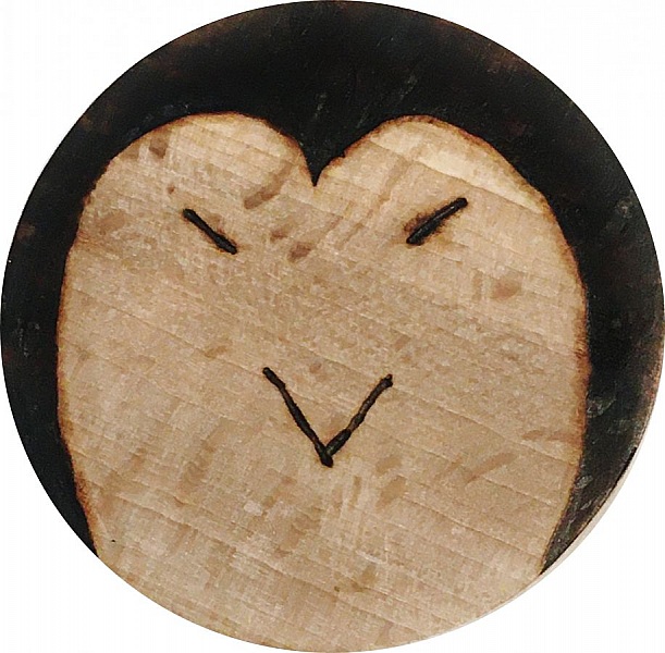 Flaske&aring;bner / flaske&aring;bner i b&oslash;getr&aelig; model : pingvin